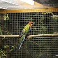 img 5054