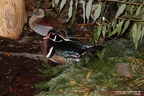 IMG 7913