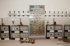 IMG 7919