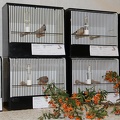 IMG 7920
