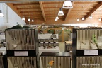 IMG 7932