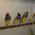 IMG 7946