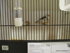 IMG 8338