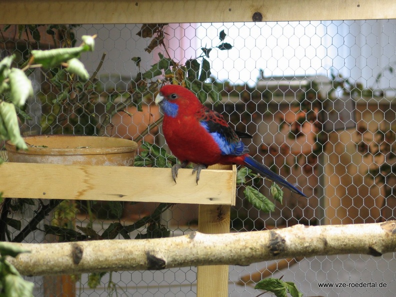 IMG_1446.JPG