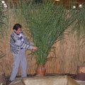 IMG 9172