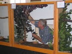 IMG 9174