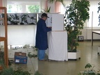 IMG 9176