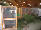 IMG 9178