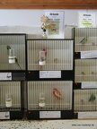 IMG 9232