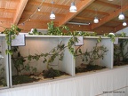 IMG 9243
